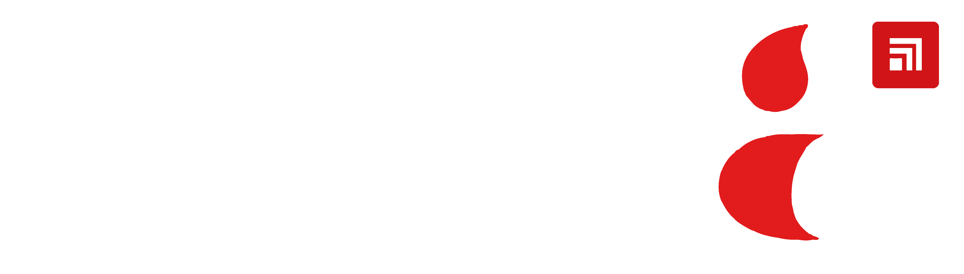 Evolve AI